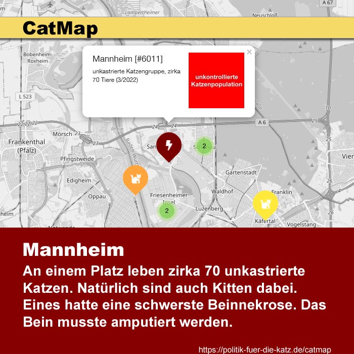 CatMap: Mannheim