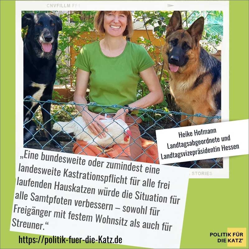 für eine Katzenschutzverordnung: Heike Hofmann, Hessische Landtagsvizepräsidentin